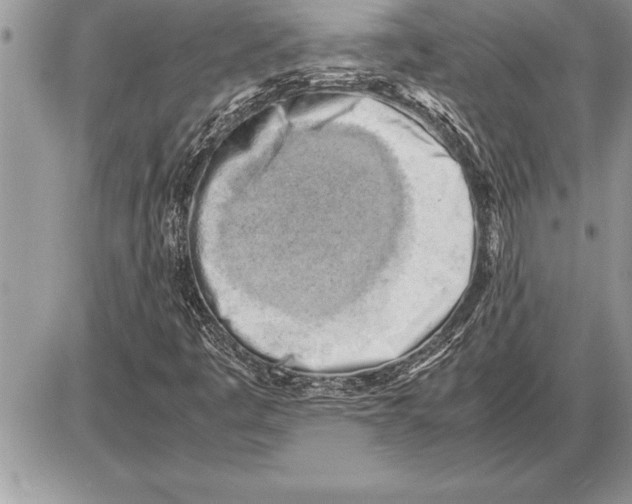 X0000085741445200704131633