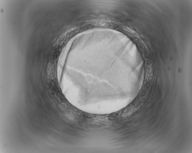 X0000085741446200704131633