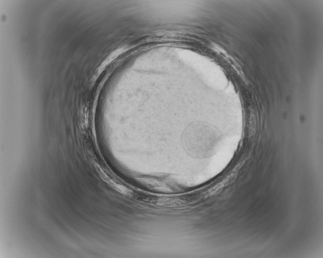 X0000085741449200704131632