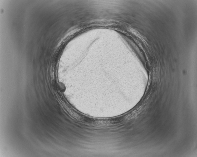 X0000085741451200704131632