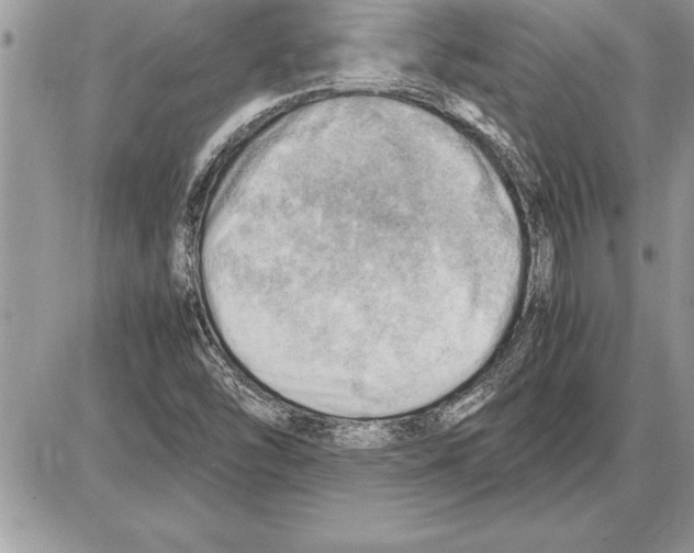 X0000085741454200704131632