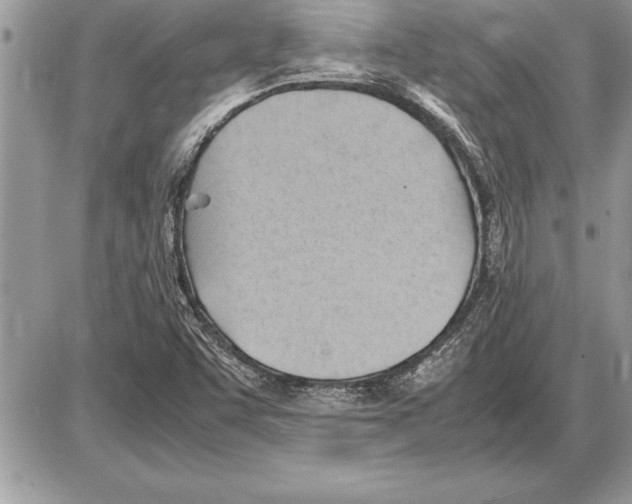 X0000085741455200704131632