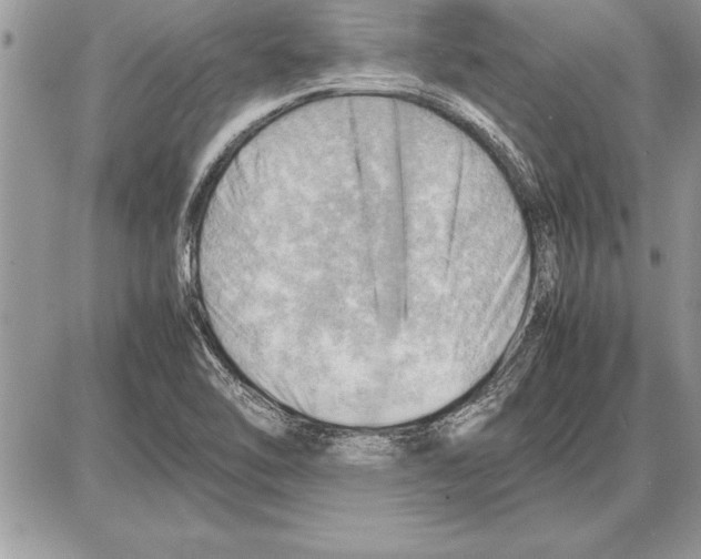 X0000085741462200704131632