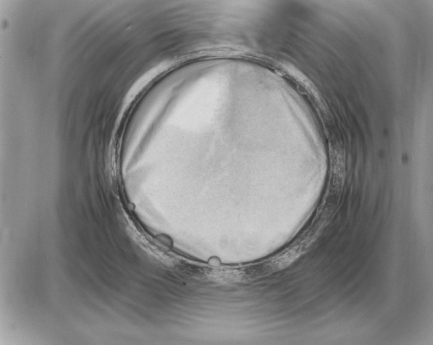 X0000085741466200704131632