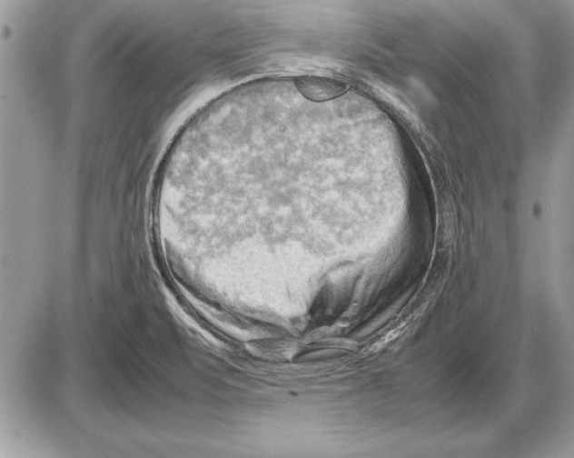 X0000085741471200704131632