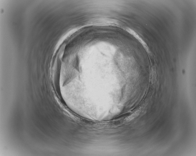 X0000085741477200704131632