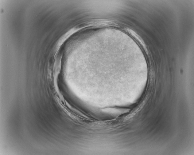X0000085741481200704131632