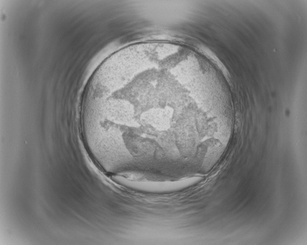 X0000085741483200704131632