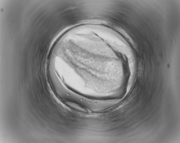 X0000085741484200704131632