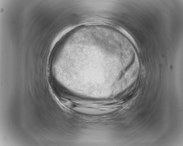 X0000085741485200704131632