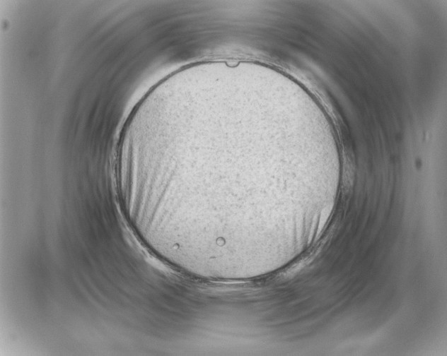 X0000085741486200704131632