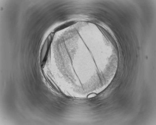 X0000085741488200704131632