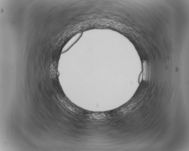 X0000085741491200704131631