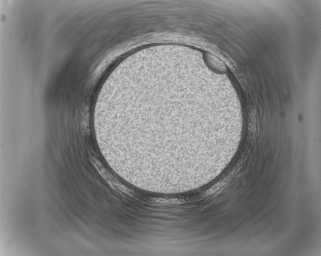 X0000085741499200704131631