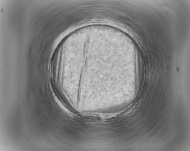 X0000085741519200704131632