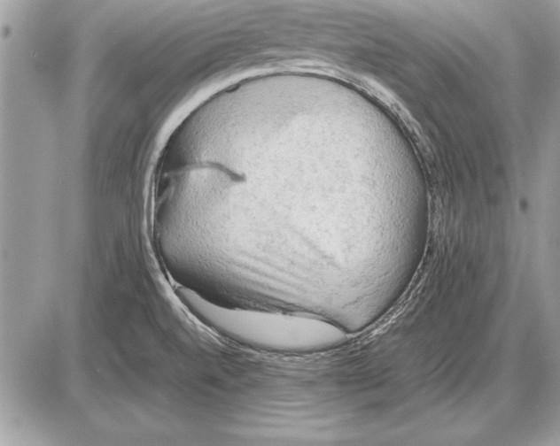 X0000085741520200704131632