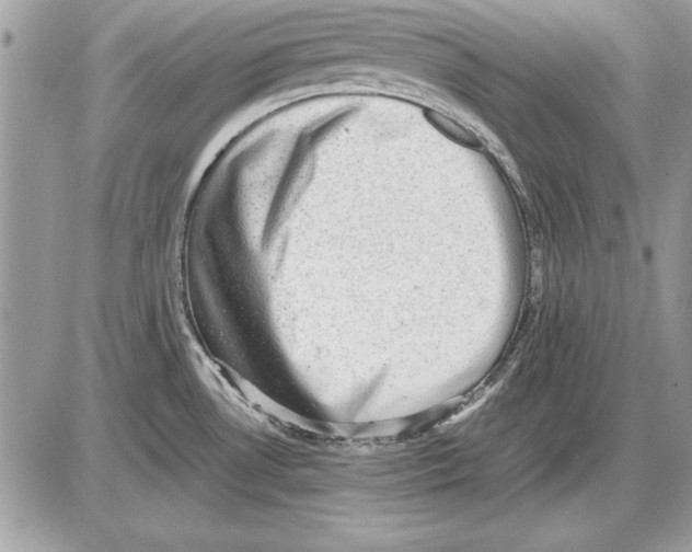 X0000085741530200704131632