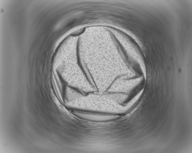 X0000085741534200704131632
