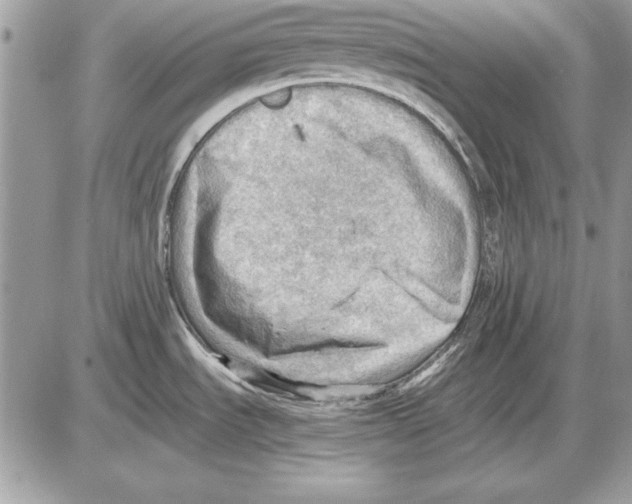 X0000085741535200704131632