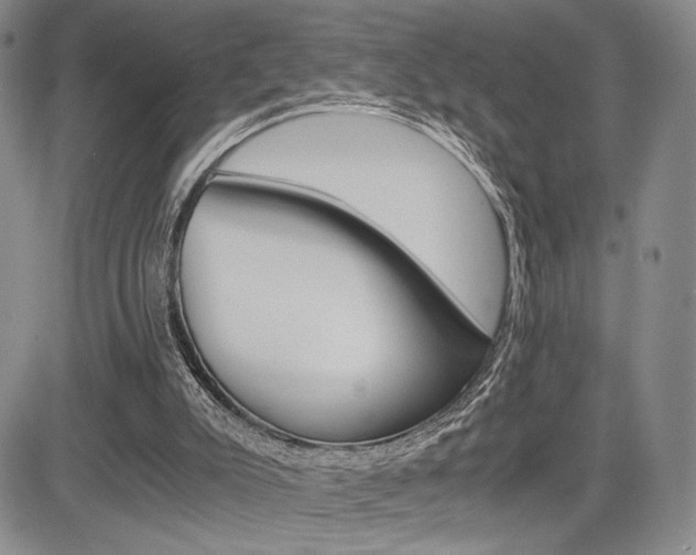 X0000085750007200703160849
