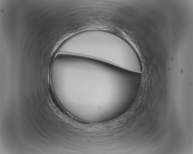 X0000085750011200703160849