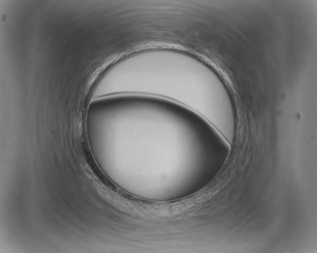 X0000085750015200703160849