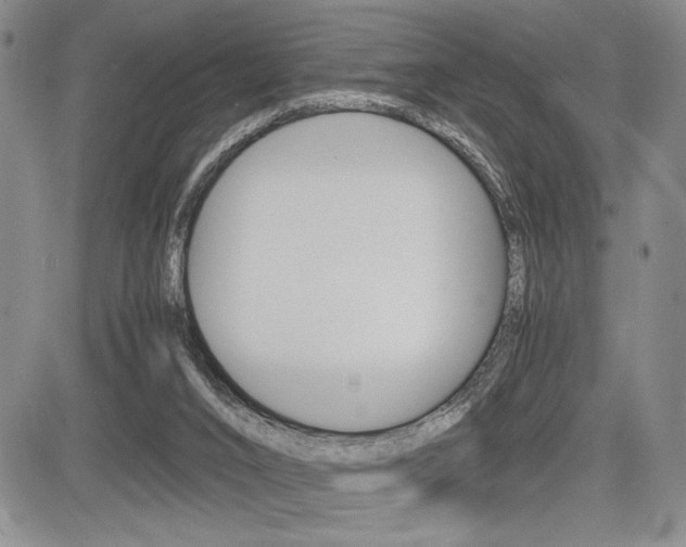X0000085750016200703160849
