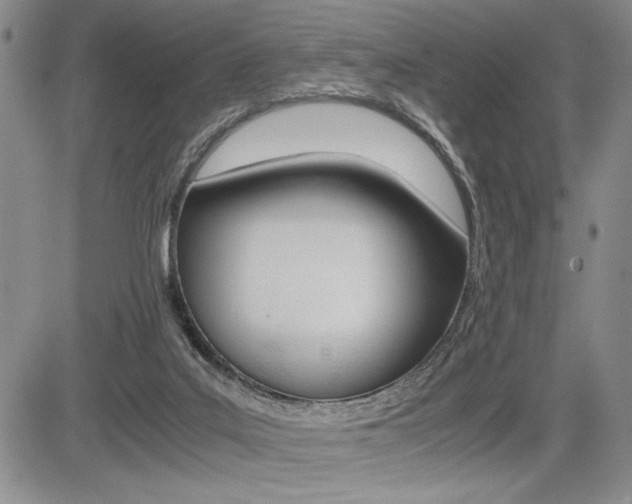 X0000085750019200703160849
