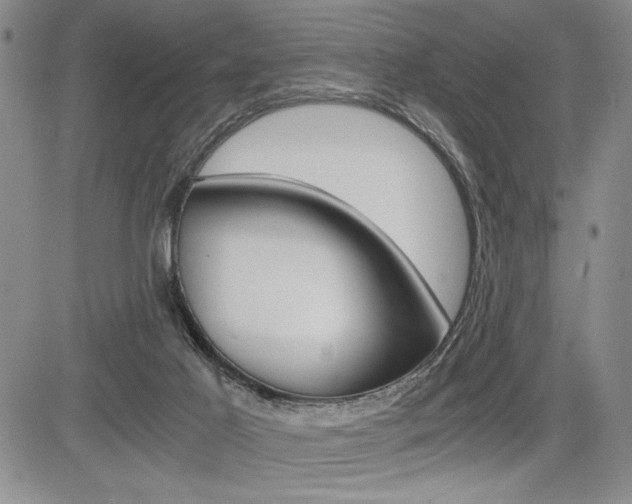 X0000085750021200703160849