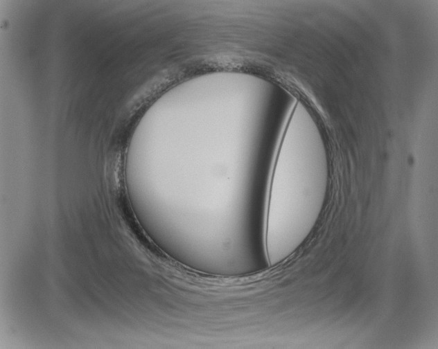 X0000085750023200703160849