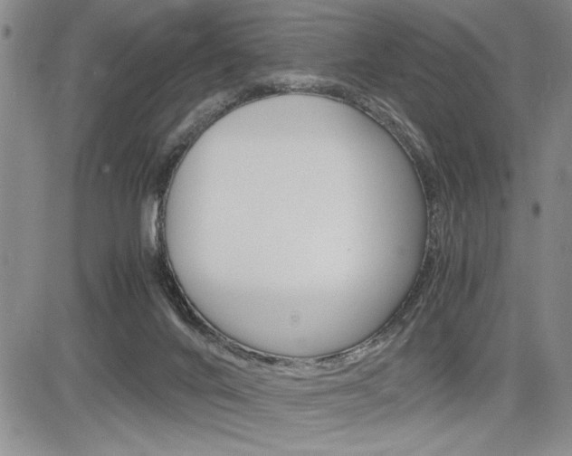 X0000085750024200703160849