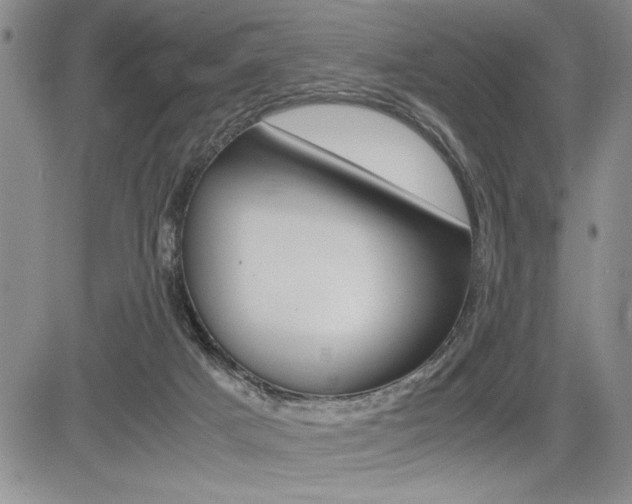 X0000085750025200703160849