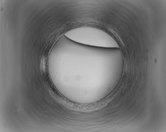 X0000085750026200703160849