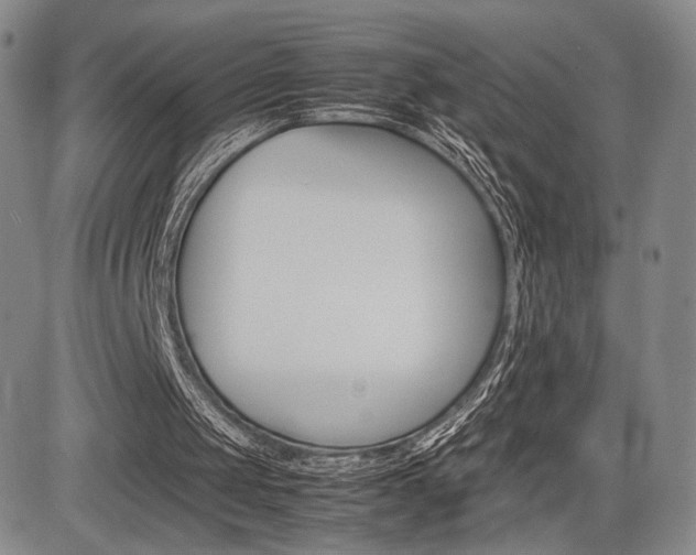 X0000085750049200703160848