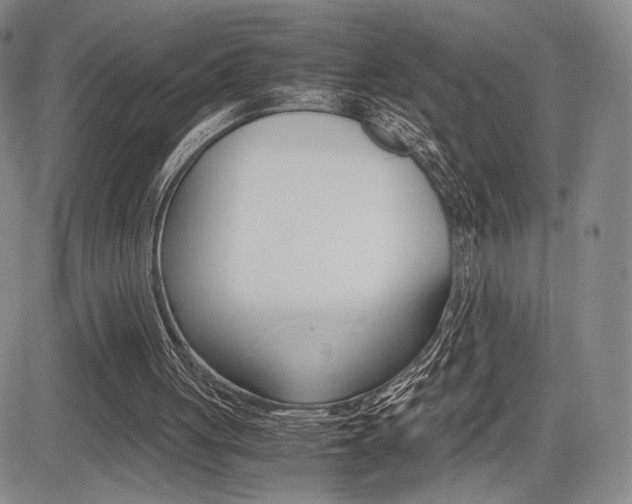 X0000085750051200703160848