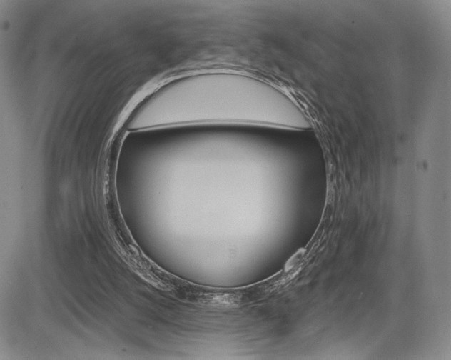 X0000085750056200703160848