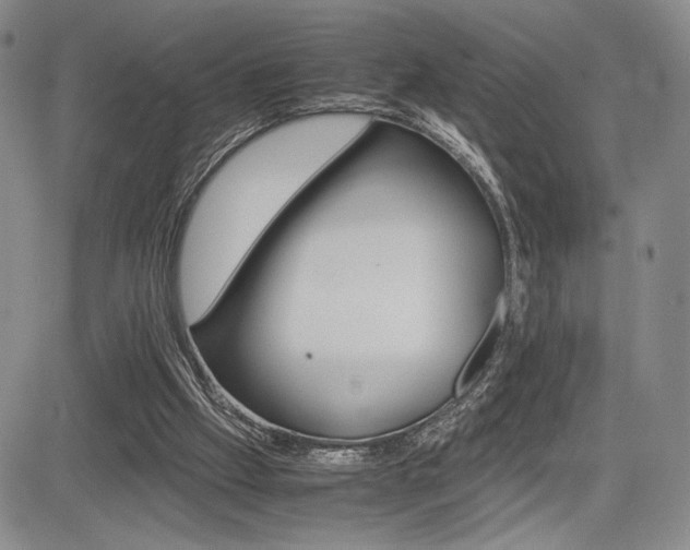 X0000085750057200703160848