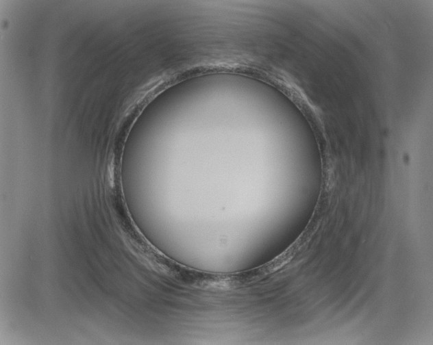 X0000085750068200703160848
