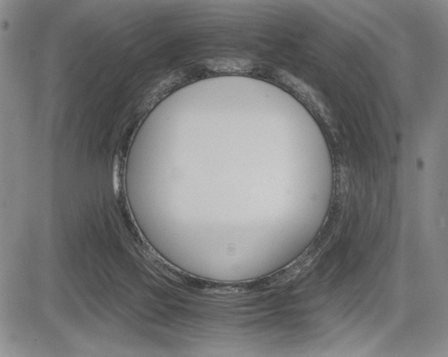 X0000085750069200703160848