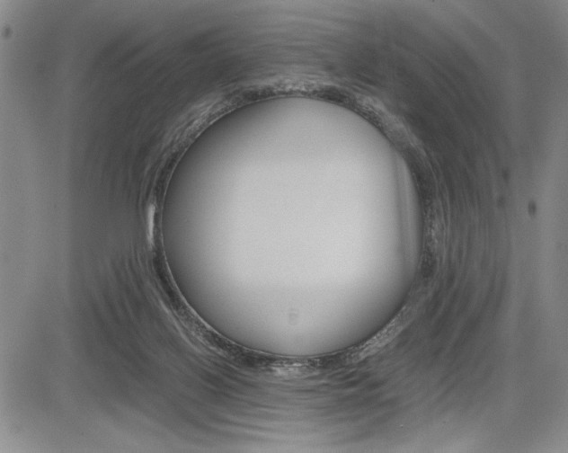 X0000085750070200703160848