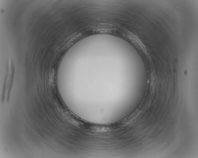 X0000085750073200703160848