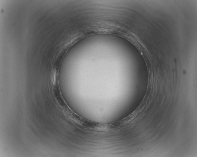 X0000085750076200703160848
