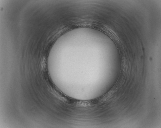 X0000085750077200703160848