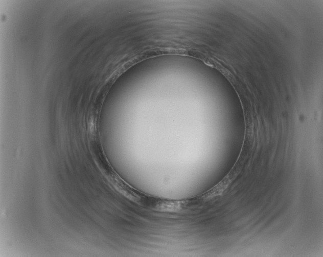 X0000085750084200703160849