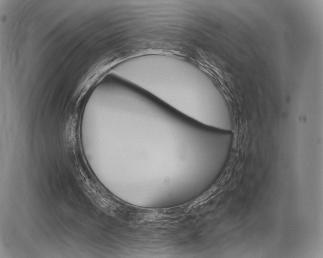 X0000085750098200703160848
