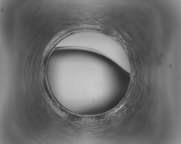 X0000085750101200703160848