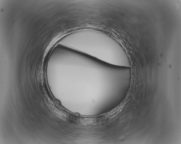 X0000085750102200703160848