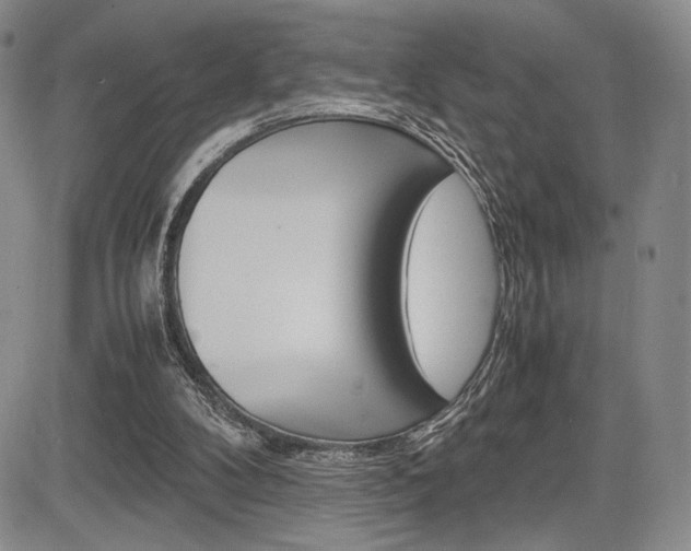 X0000085750104200703160848
