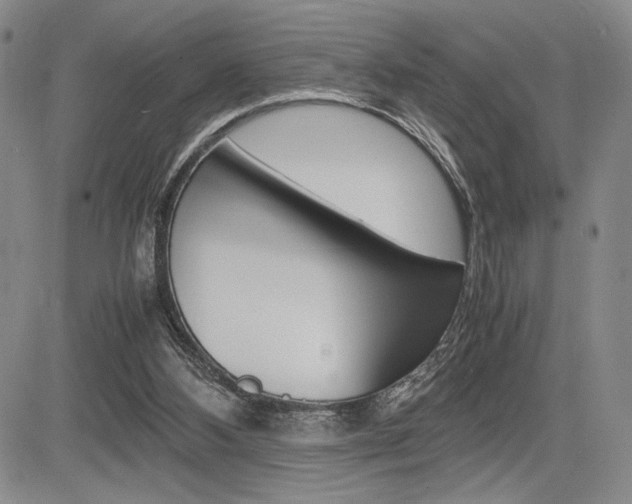 X0000085750108200703160848