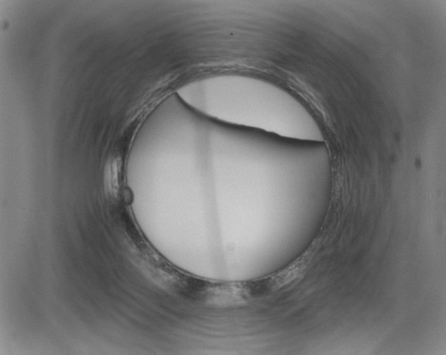 X0000085750118200703160848